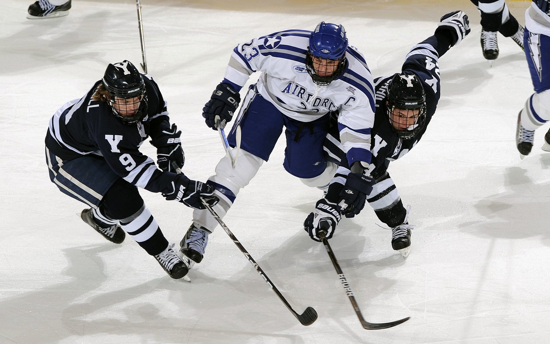 北京队战术升级,期待表现更上一层楼!,北京队队员名单